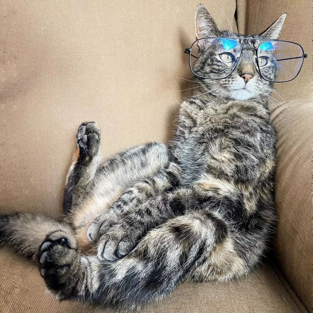 Forrás: Instagram/Cathode & Rémy