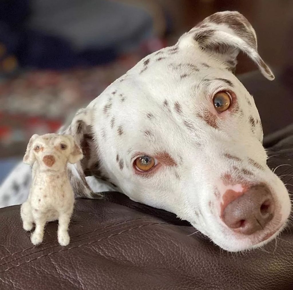 Forrás: Instagram/littlefeltedfriends