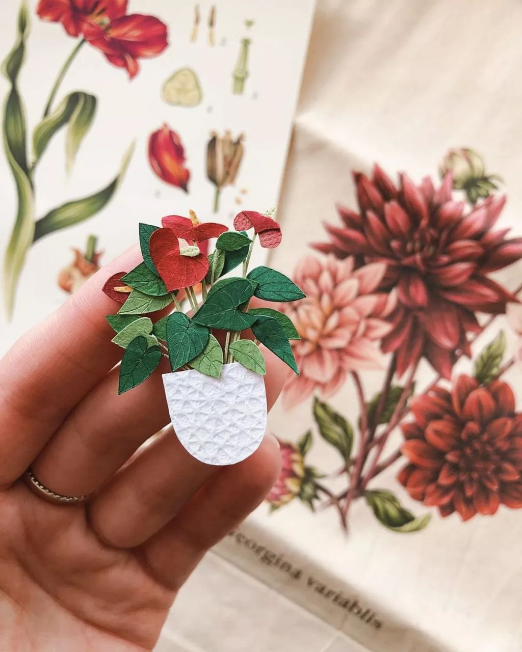 Forrás: Instagram/Tania Lissova