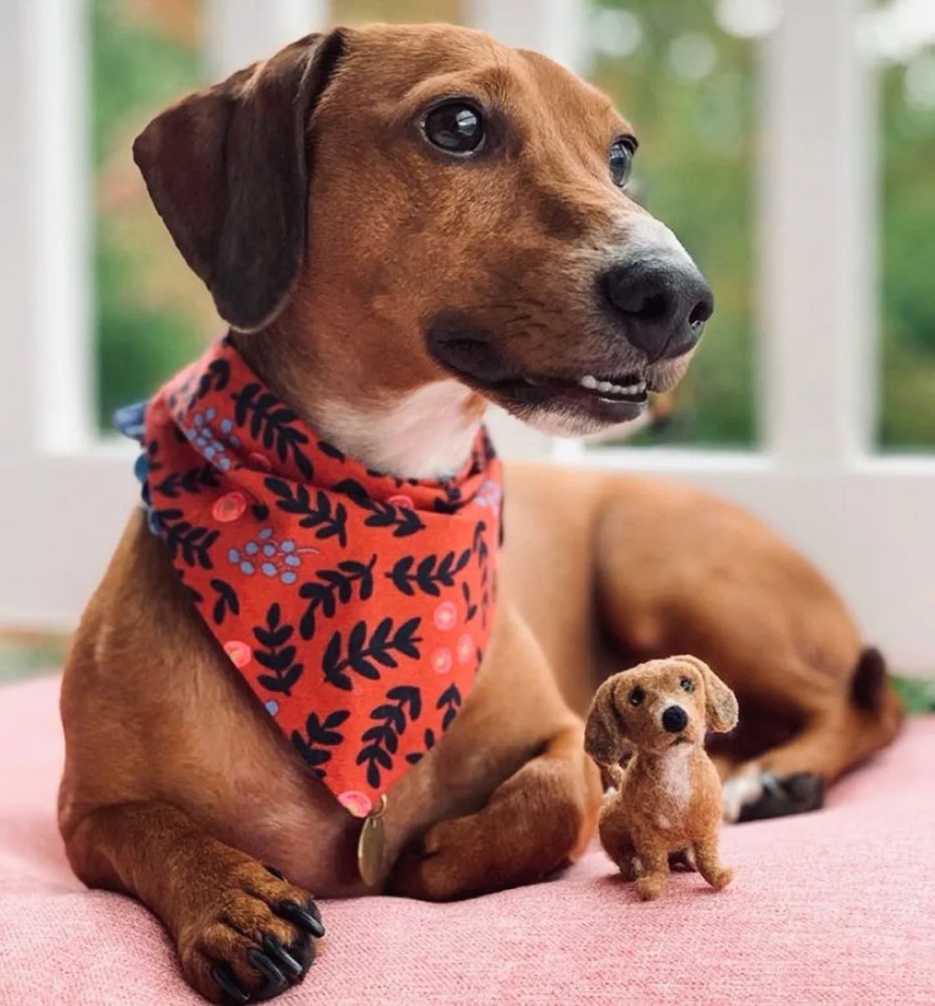 Forrás: Instagram/littlefeltedfriends