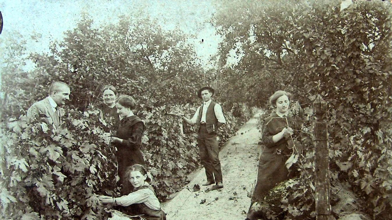 Forrás: Fortepan