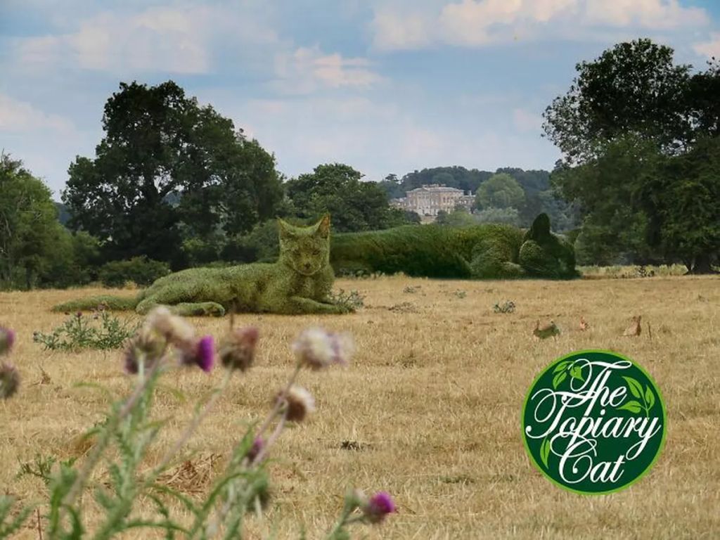 Forrás: The Topiary Cat, a creation by Richard Saunders