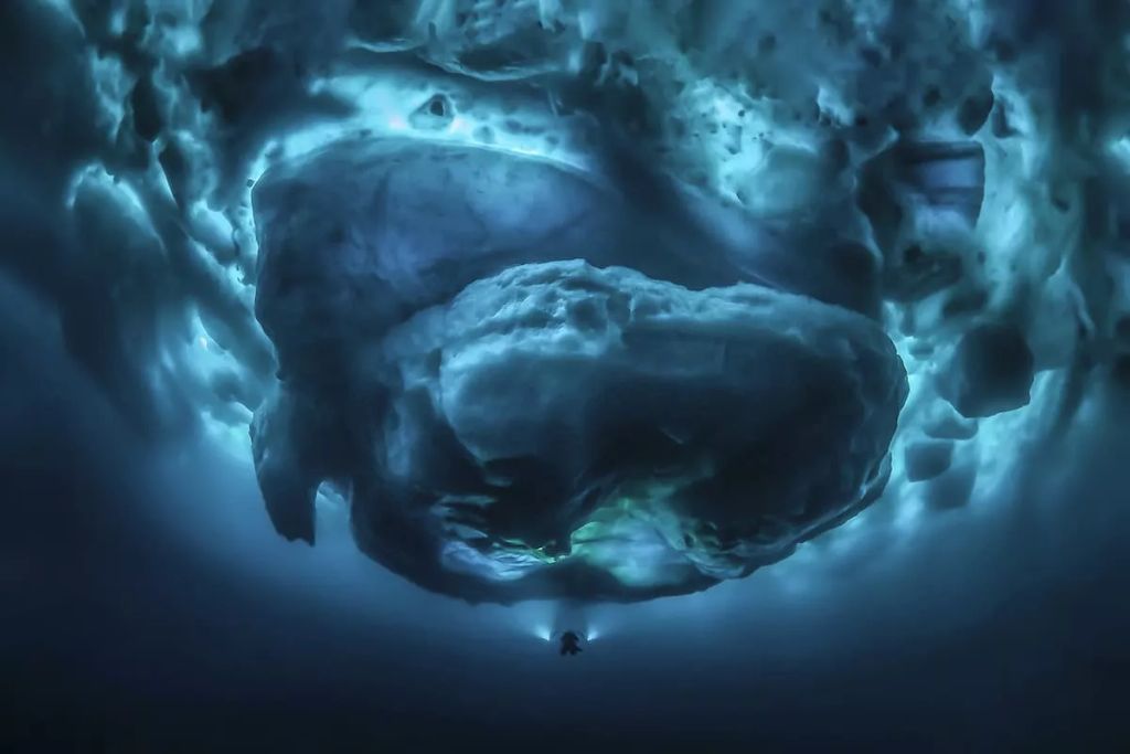Fotó: Tobias Friedrich/Ocean Art Photography Contest