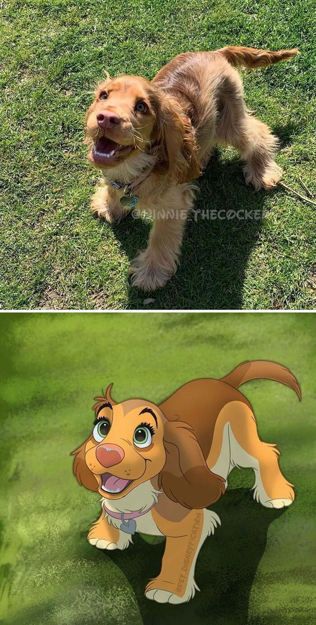 Forrás: Instagram/Pet Disneyfication, Boredpanda