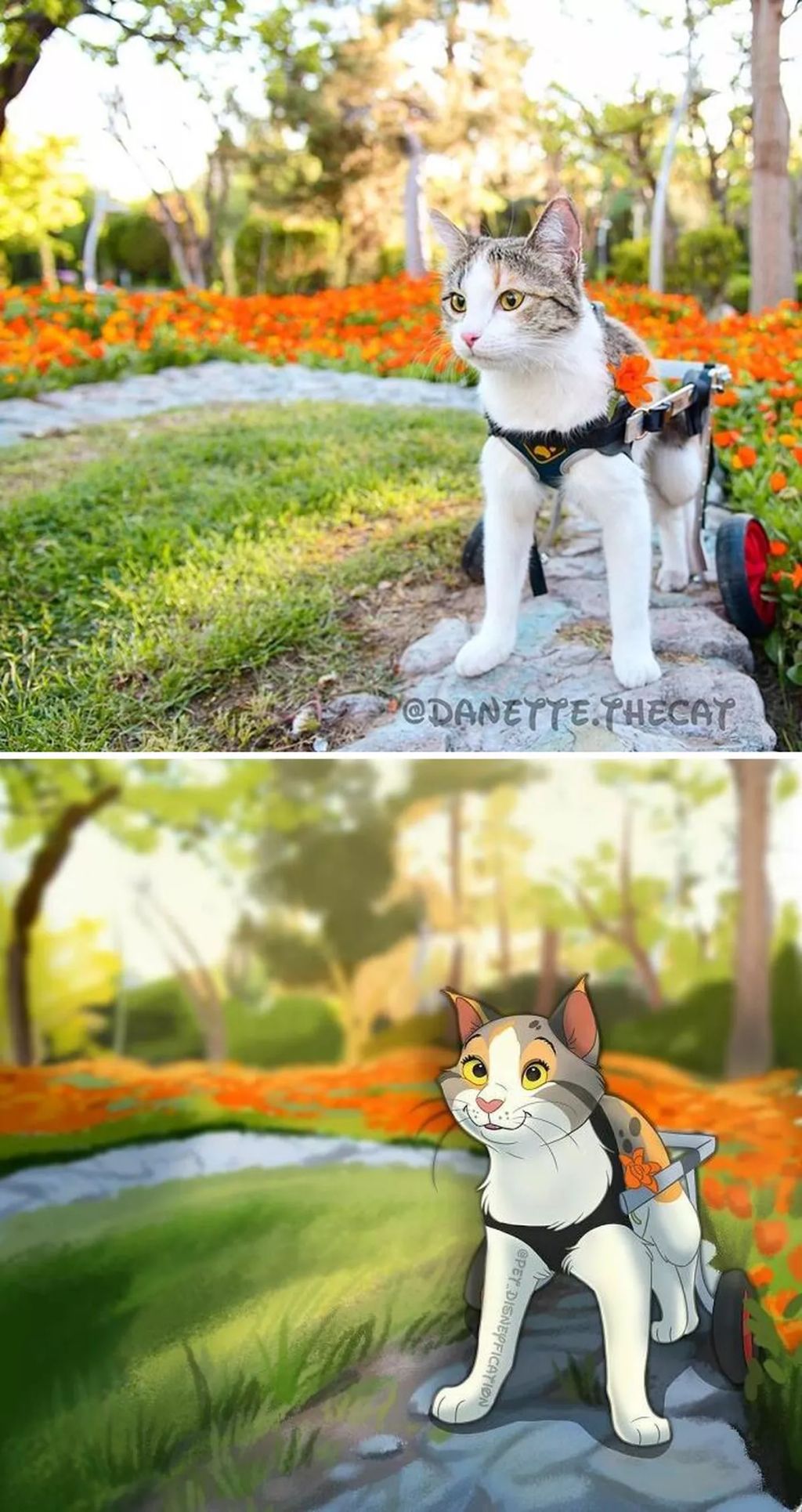 Forrás: Instagram/Pet Disneyfication, Boredpanda