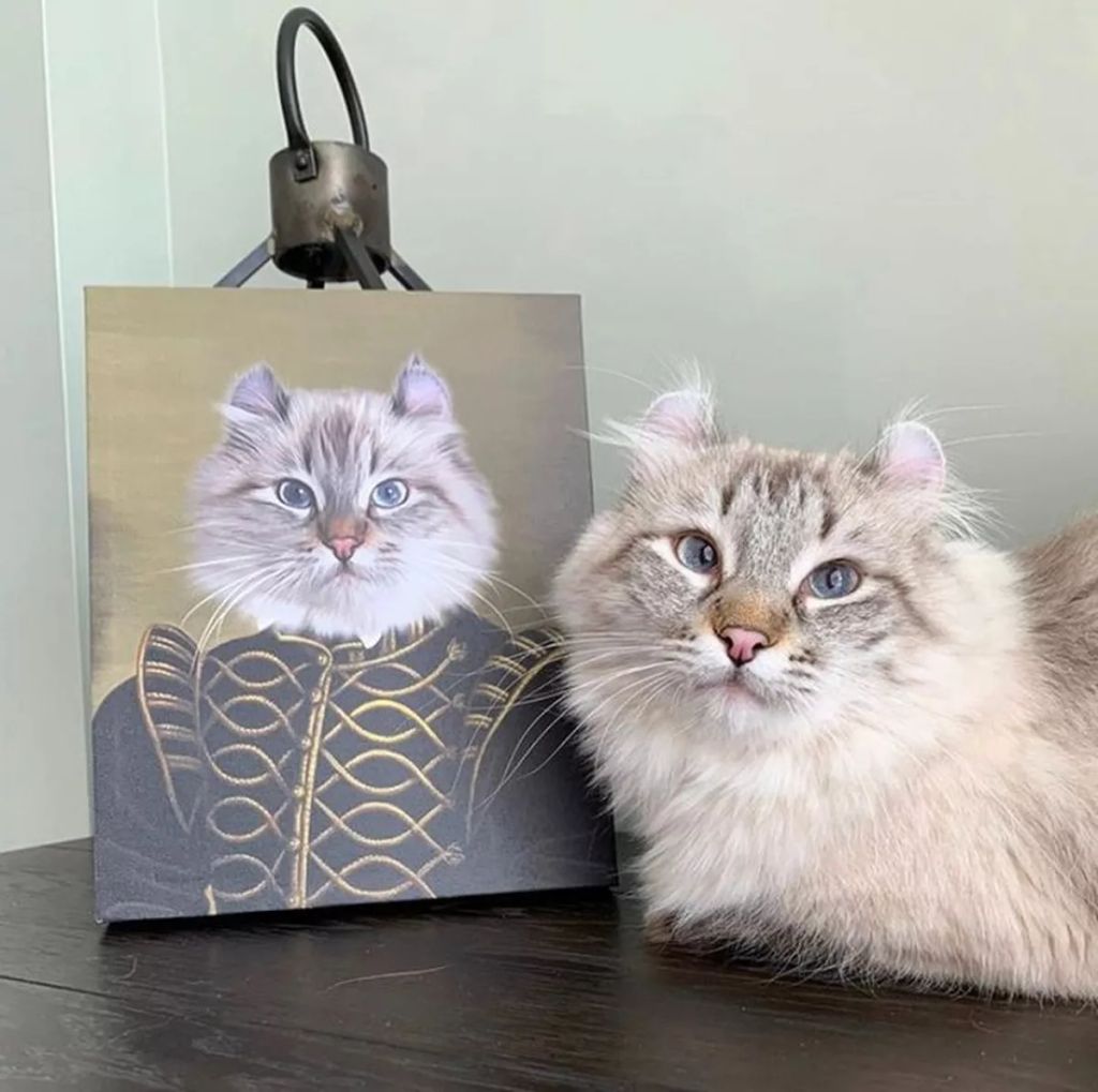 Forrás: Instagram/Crown & Paw