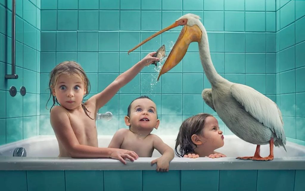 Forrás: Facebook/John Wilhelm is a photoholic