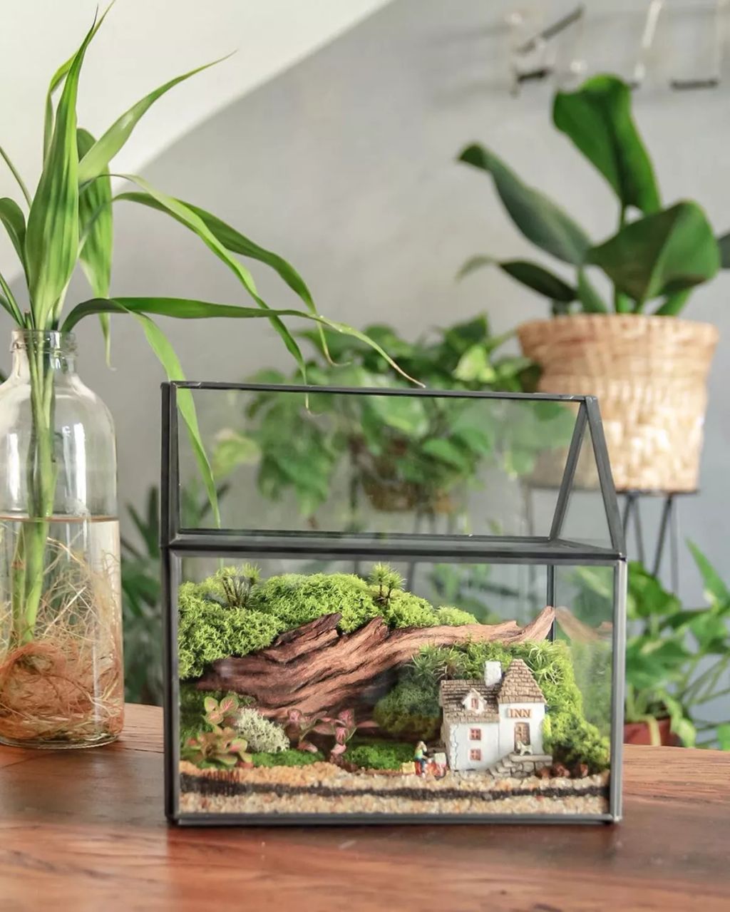 Forrás: Instagram/Jardim no Pote