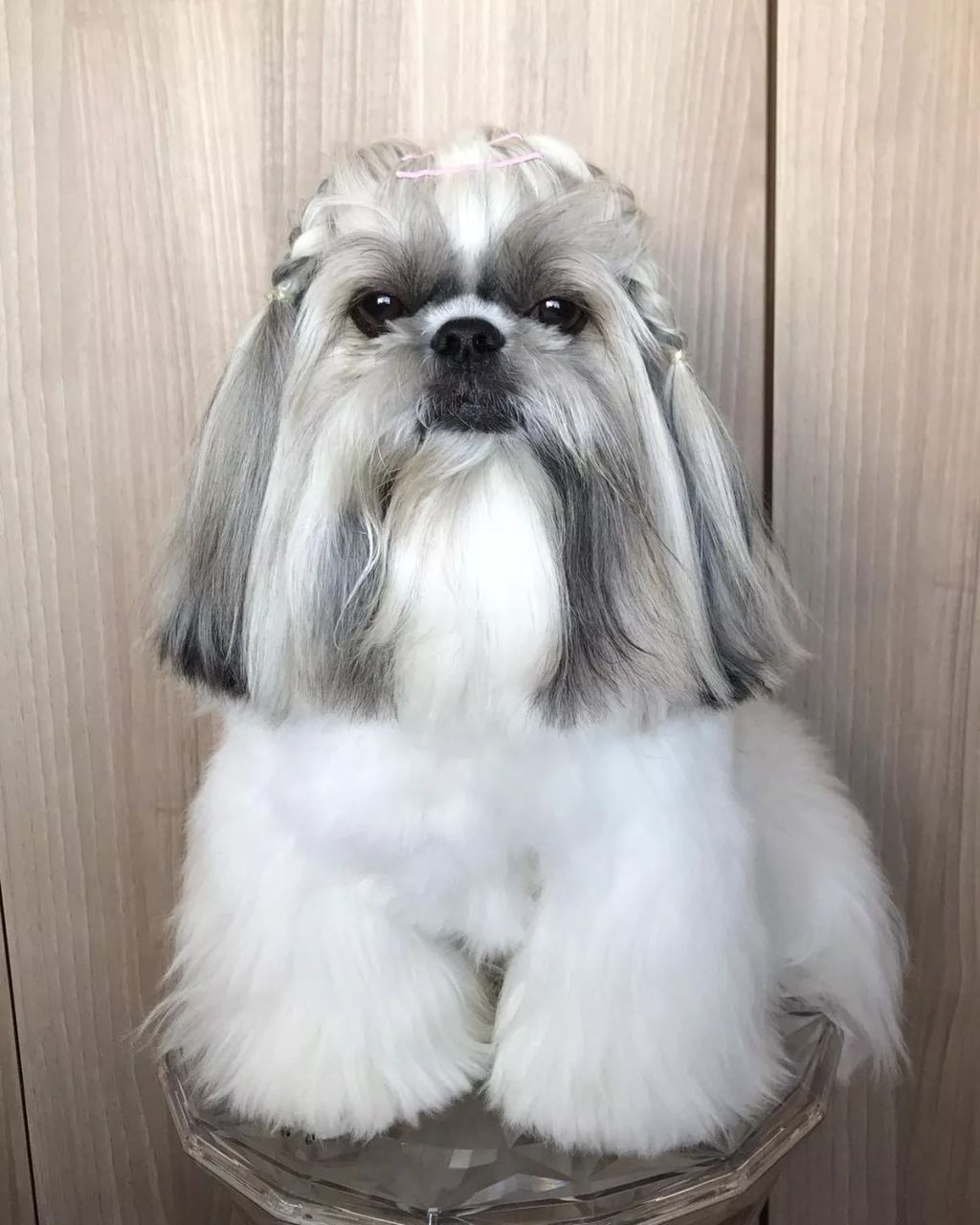 Forrás: Instagram/bonten._.maru