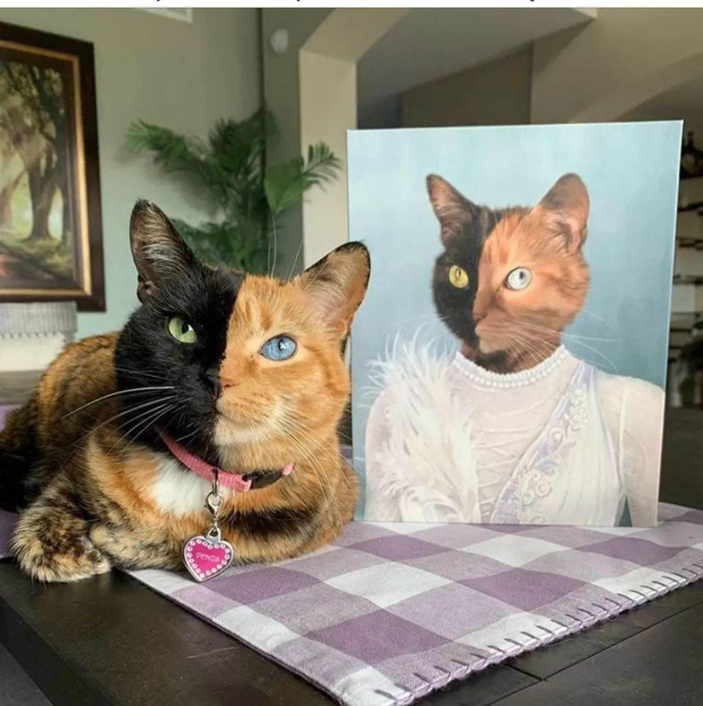 Forrás: Instagram/Crown & Paw