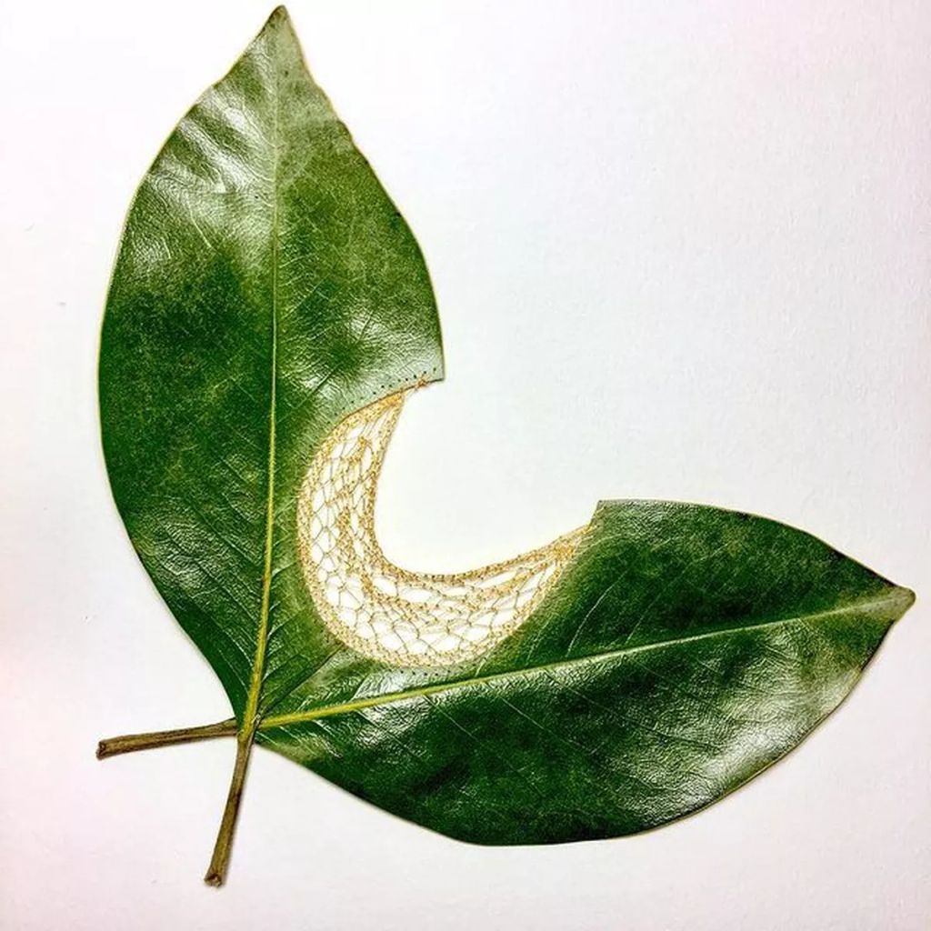 Forrás: Instagram/Hillary Waters Fayle