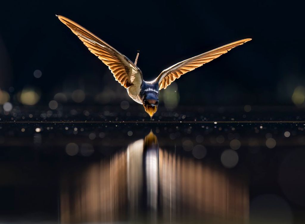 Forrás:© Li Liu/World Nature Photography Awards