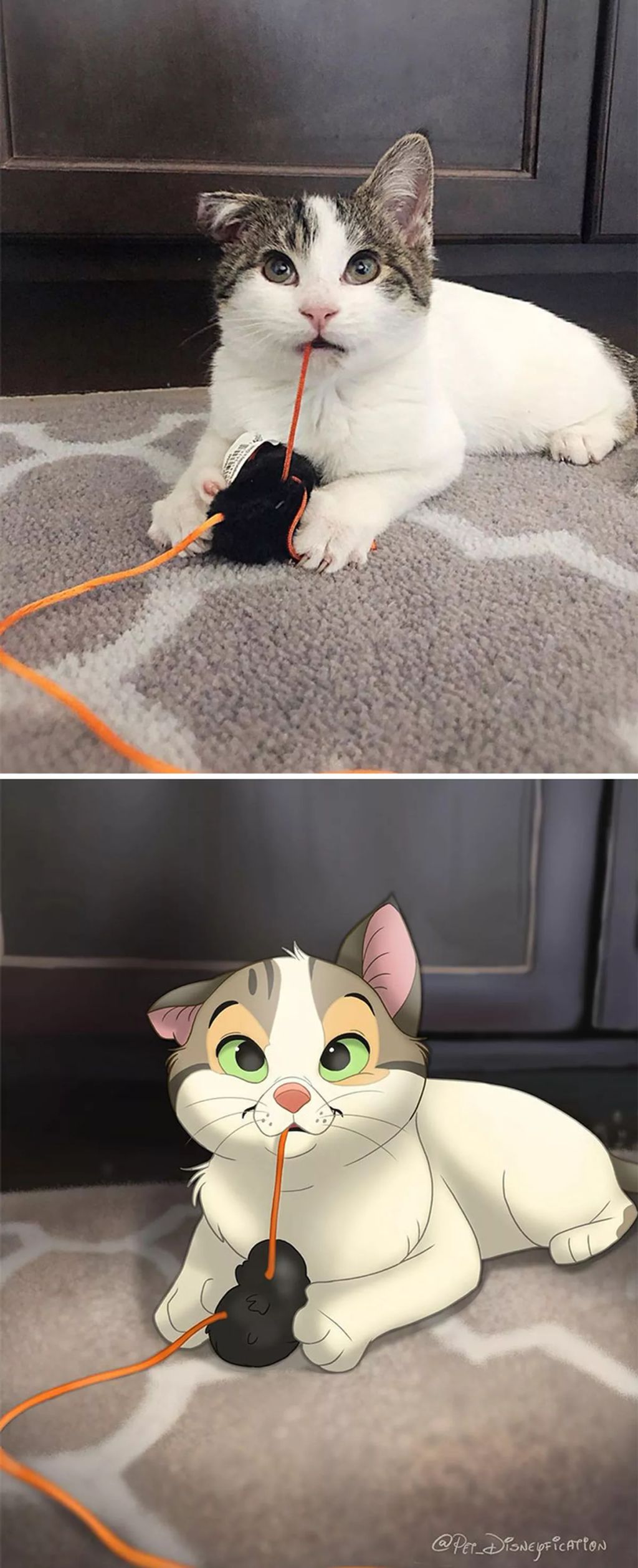 Forrás: Instagram/Pet Disneyfication, Boredpanda