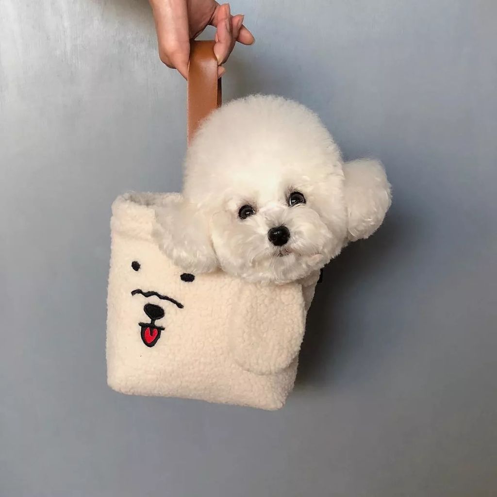 Forrás: Instagram/hazelnut_dog 