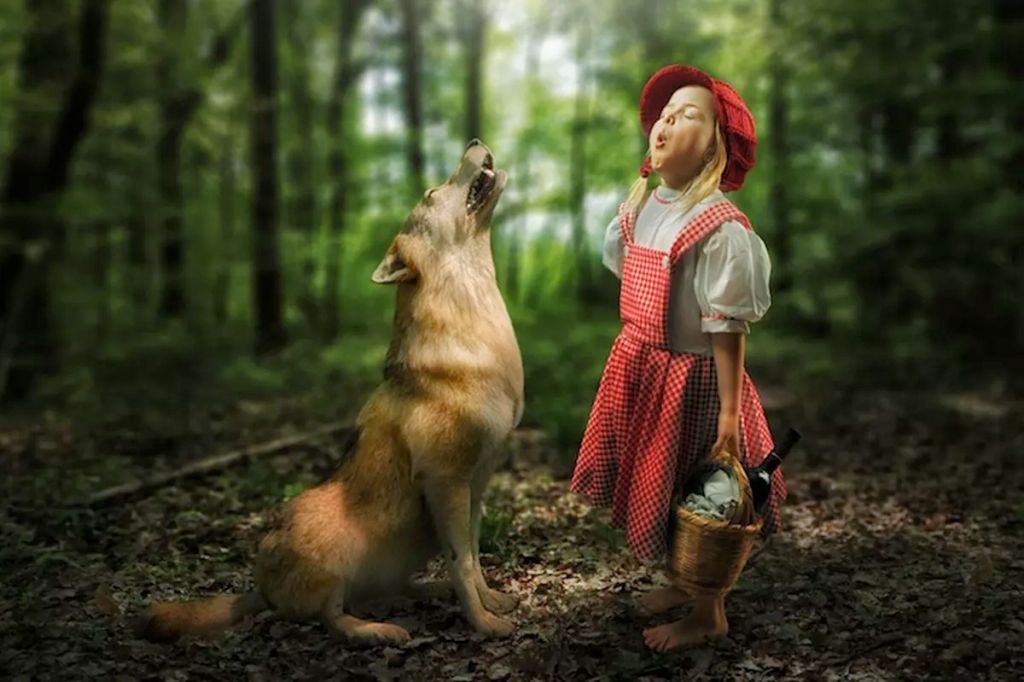 Forrás: Facebook/John Wilhelm is a photoholic
