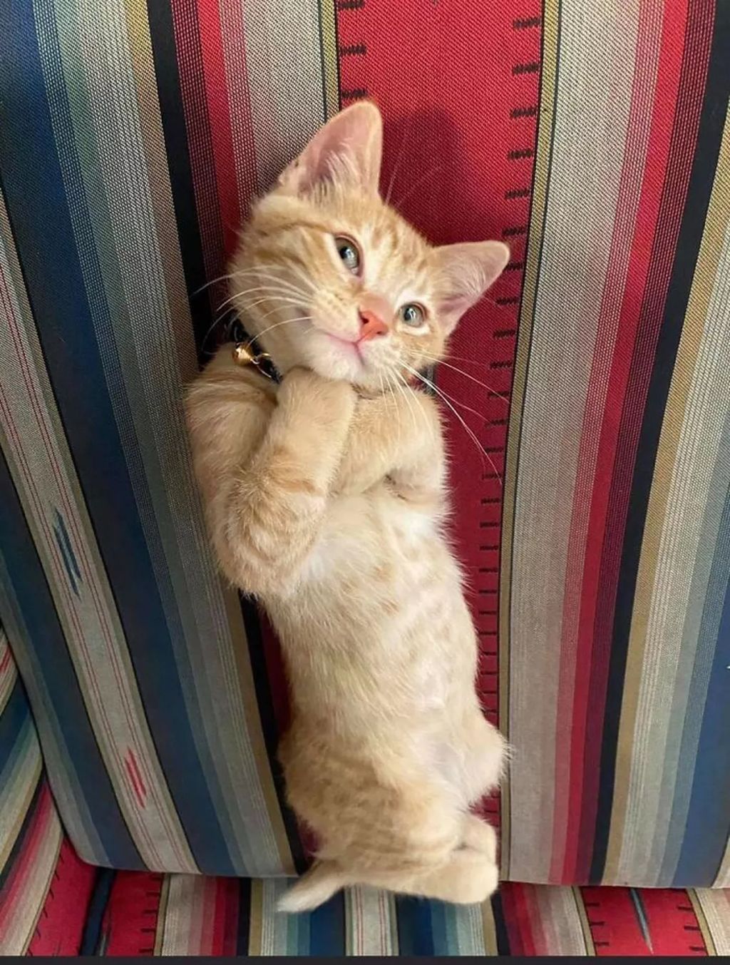 Forrás: Boredpanda
