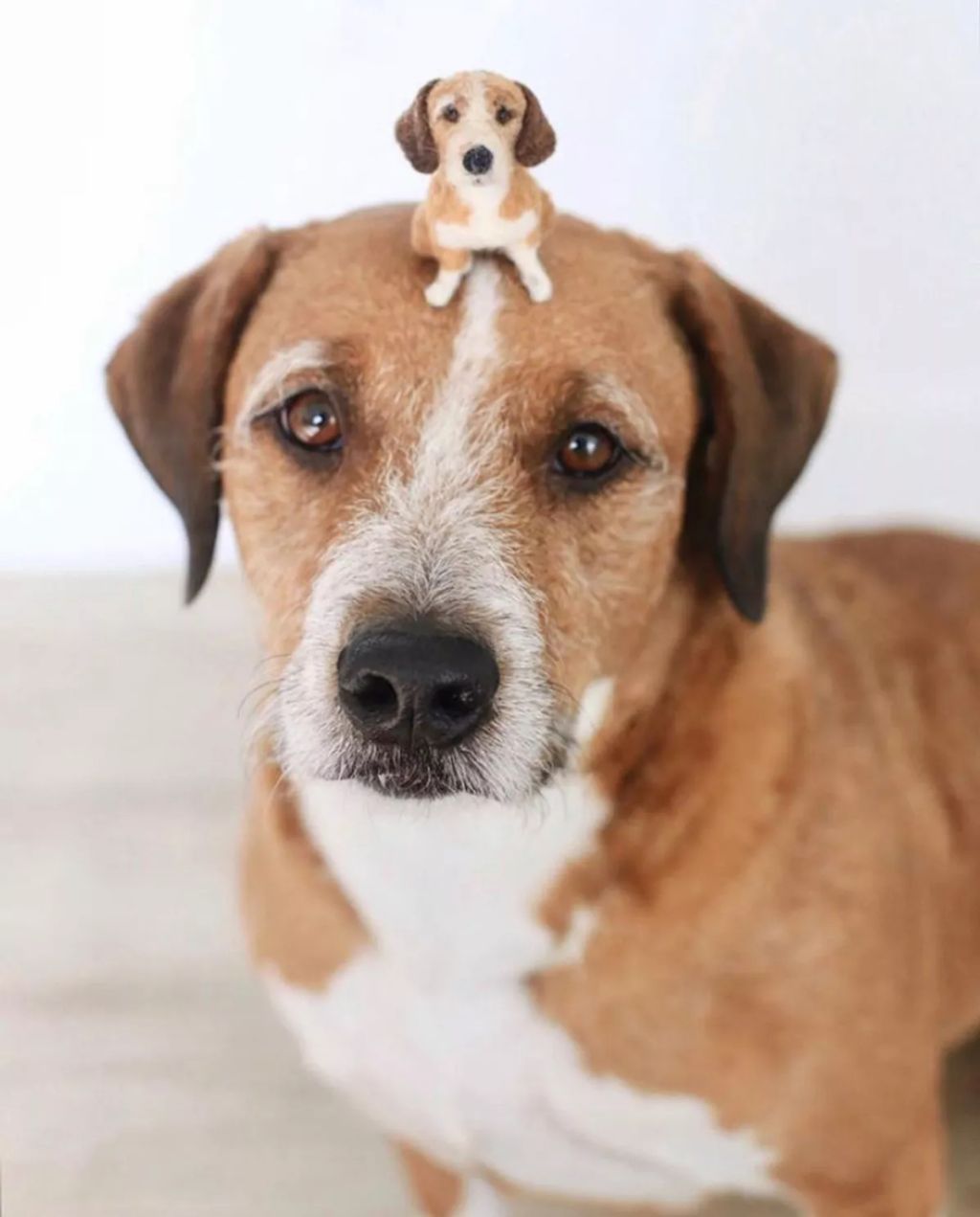 Forrás: Instagram/littlefeltedfriends