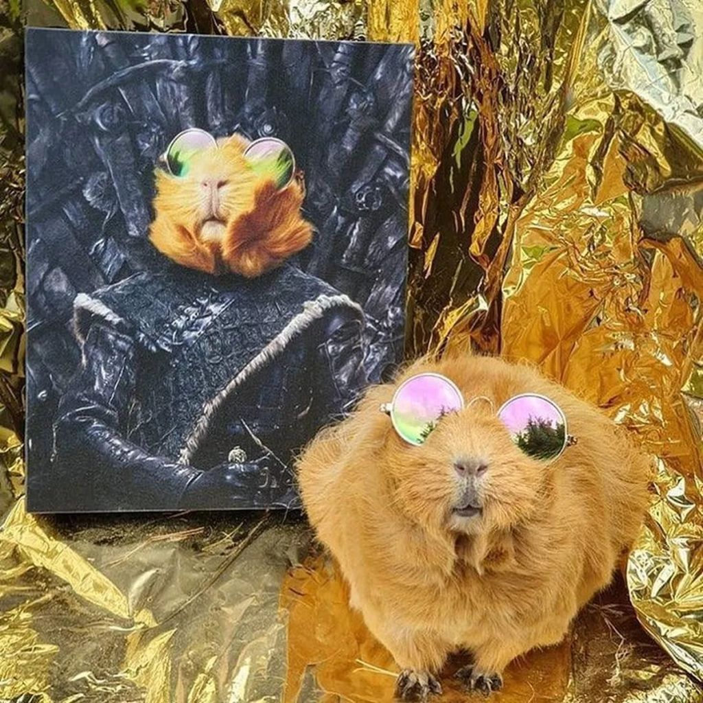 Forrás: Instagram/Crown & Paw