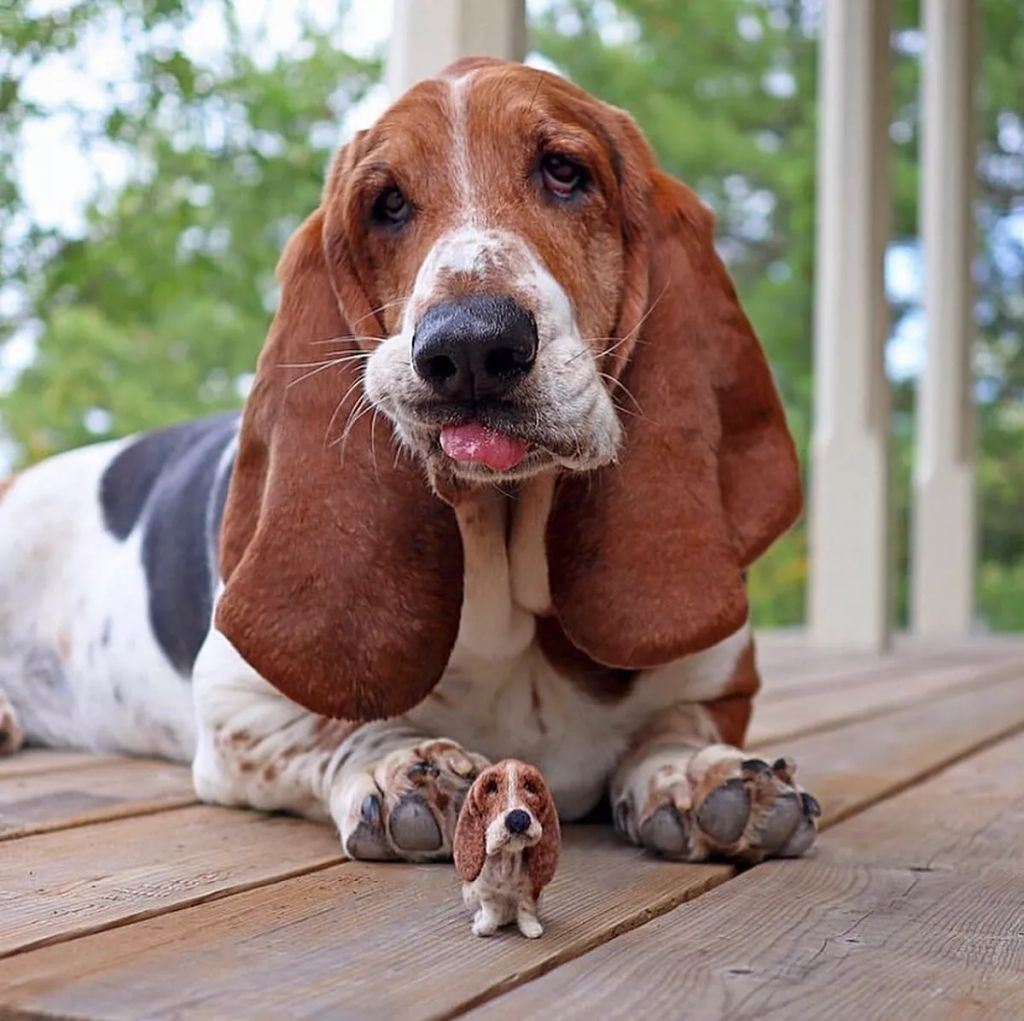 Forrás: Instagram/littlefeltedfriends