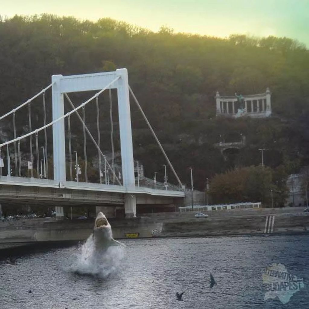 Forrás: KoPé (2020.) www.facebook.com/BudapestAlternative "