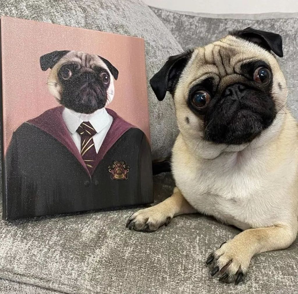 Forrás: Instagram/Crown & Paw