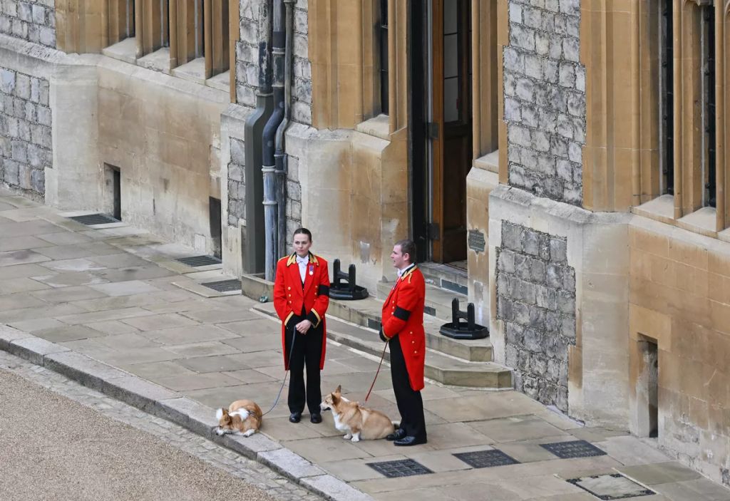 Forrás: AFP/Glyn Kirk