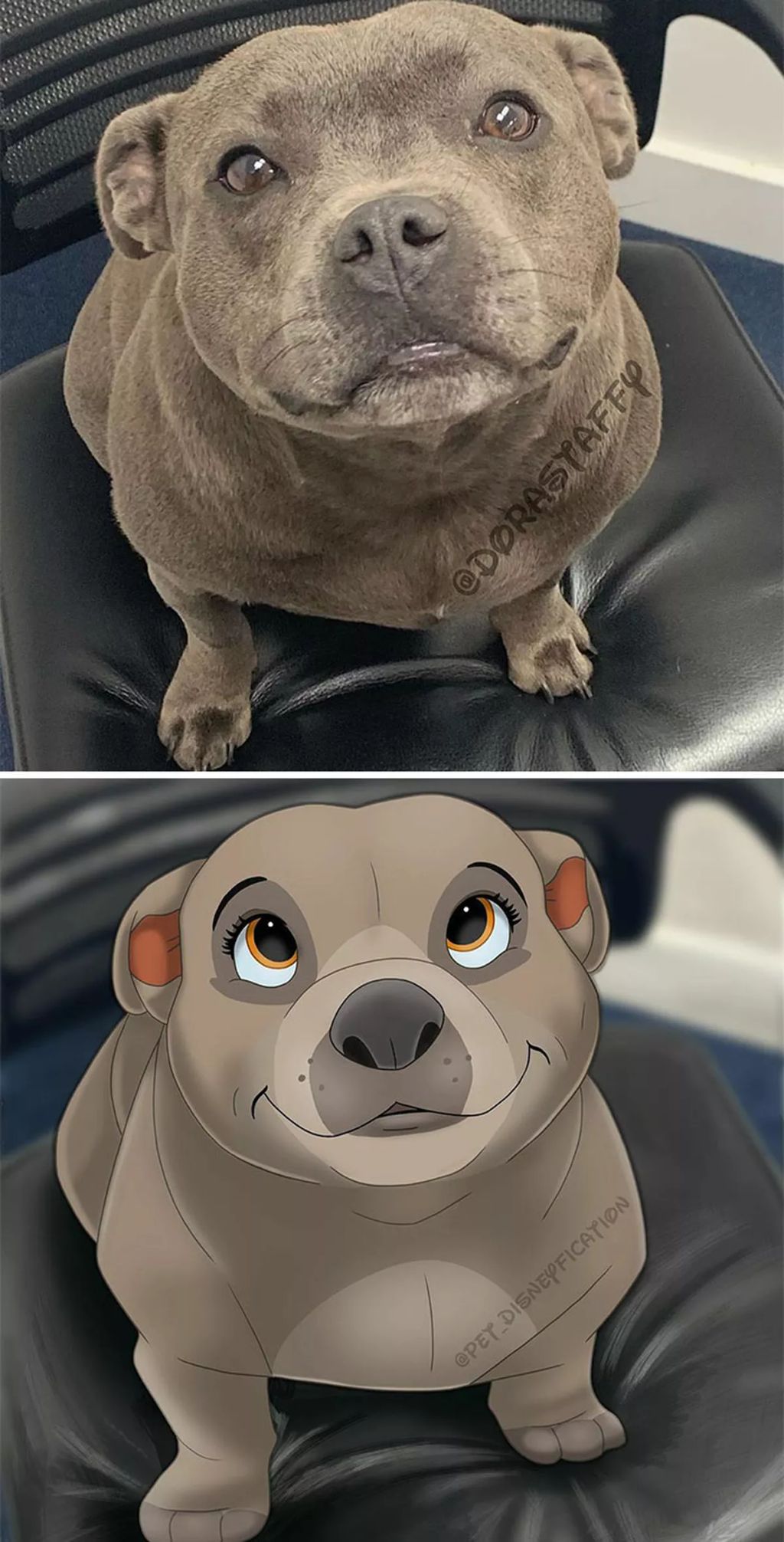 Forrás: Instagram/Pet Disneyfication, Boredpanda