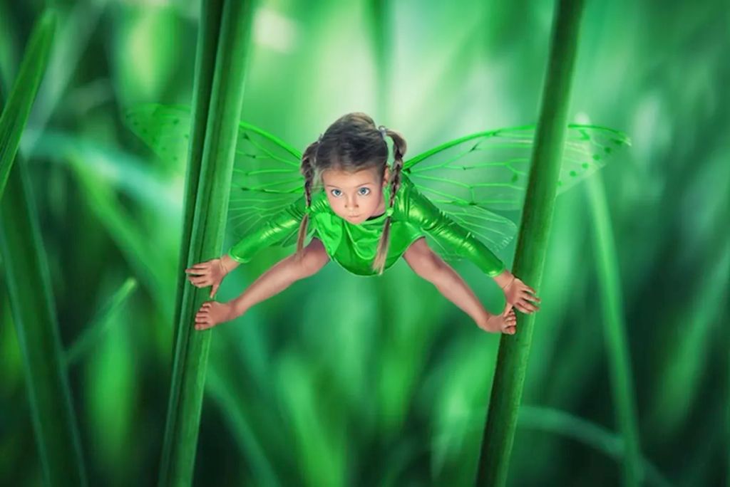 Forrás: Facebook/John Wilhelm is a photoholic