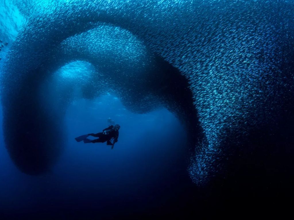 Fotó: George Kuo-Wei Kao/Ocean Art Photography Contest