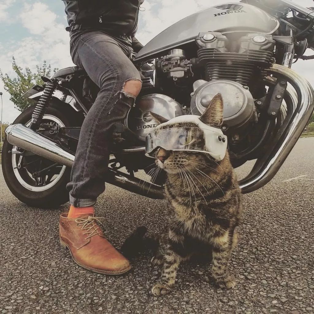 Forrás: Instagram/Cathode & Rémy
