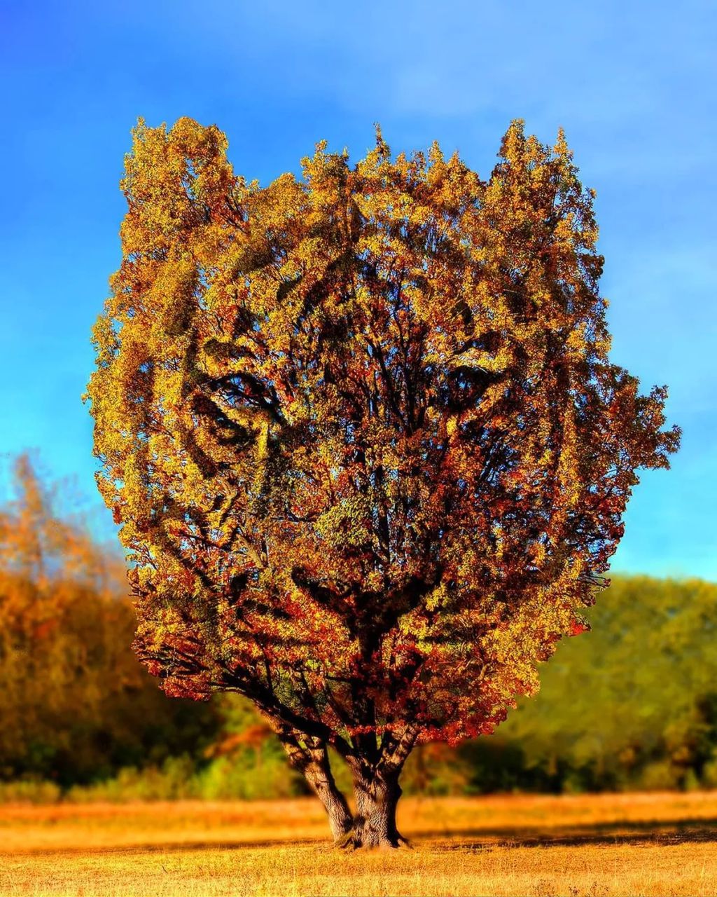 Forrás: Instagram/Martijn Digital Artist