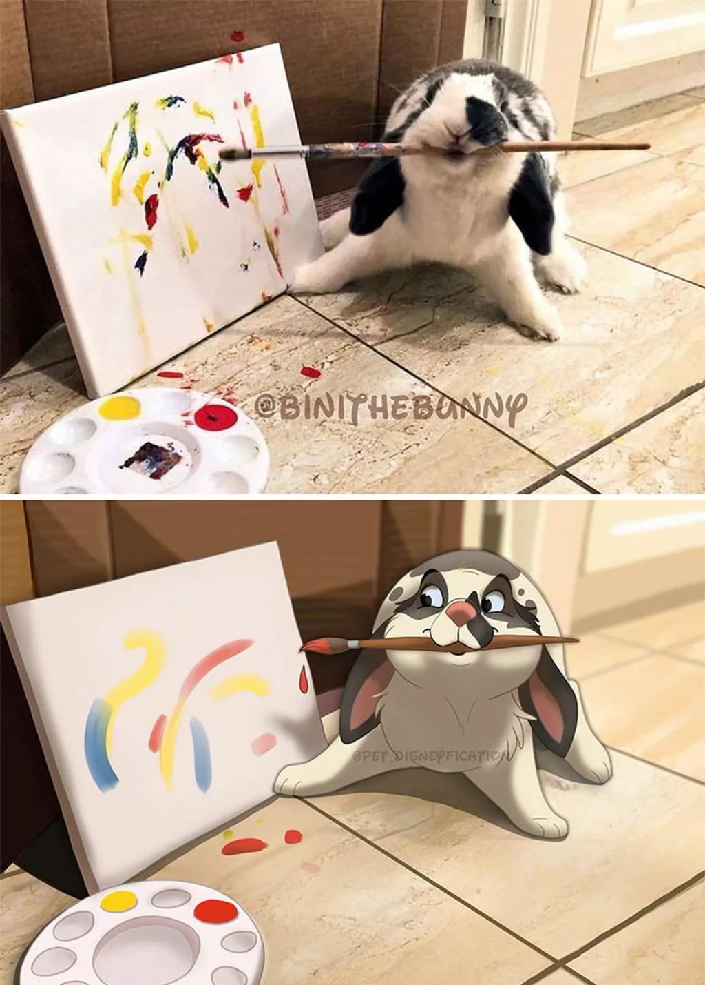 Forrás: Instagram/Pet Disneyfication, Boredpanda