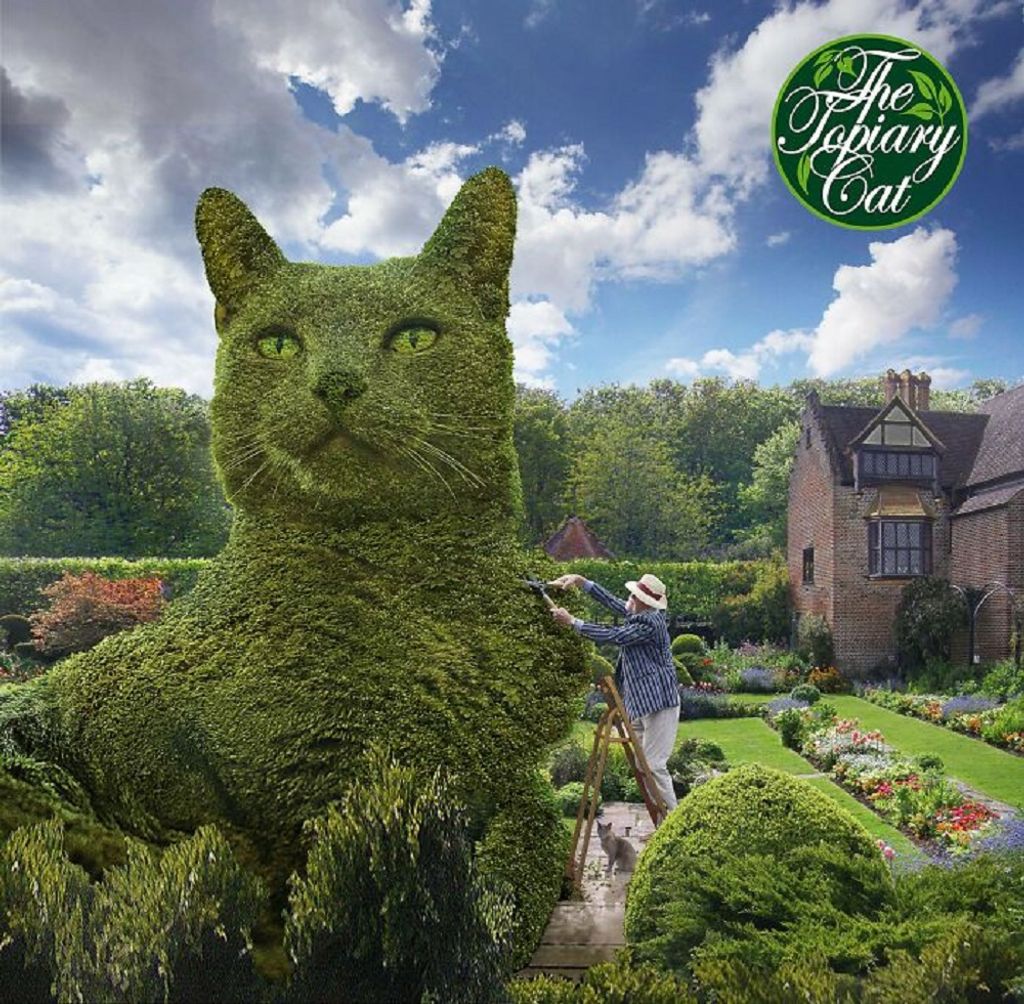 Forrás: The Topiary Cat, a creation by Richard Saunders