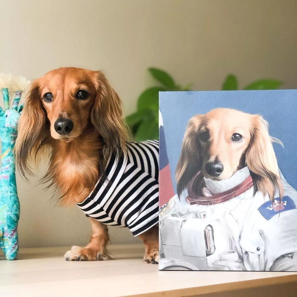 Forrás: Instagram/Crown & Paw
