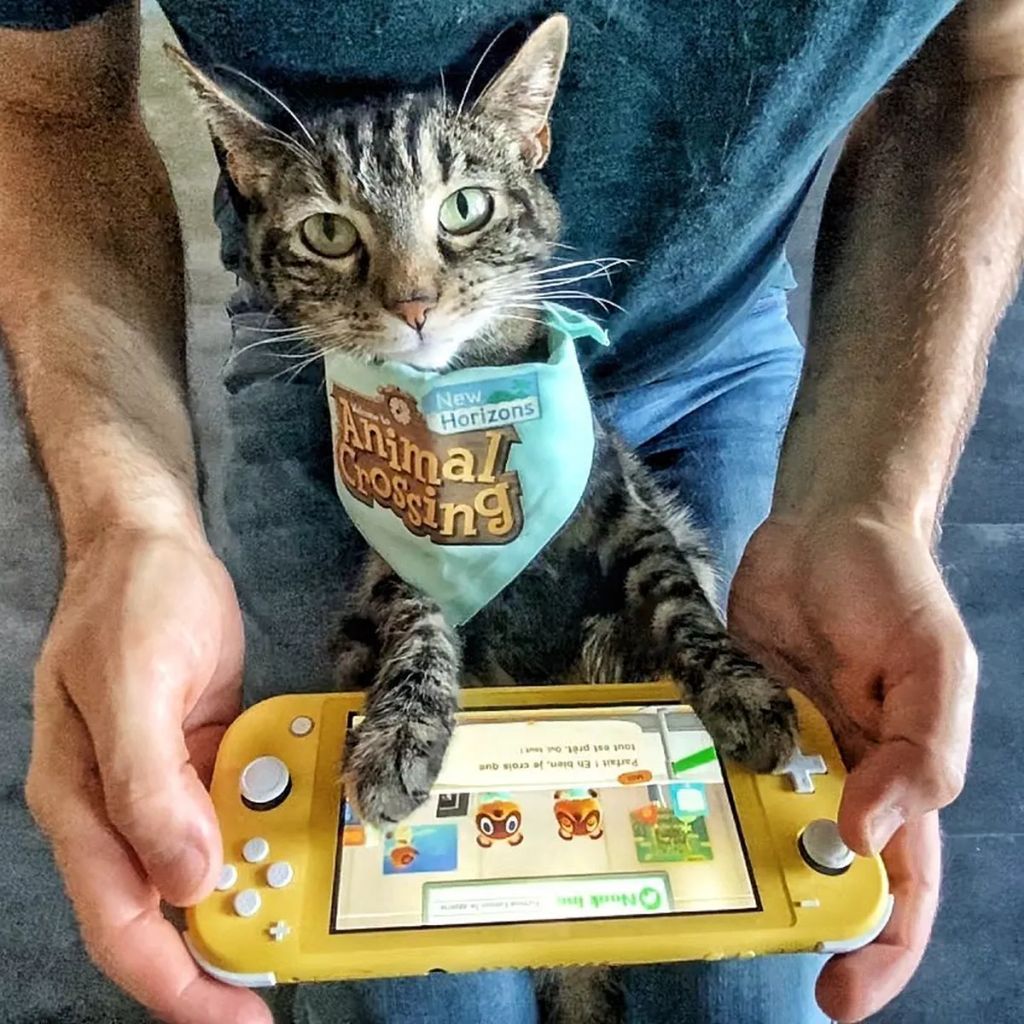 Forrás: Instagram/Cathode & Rémy