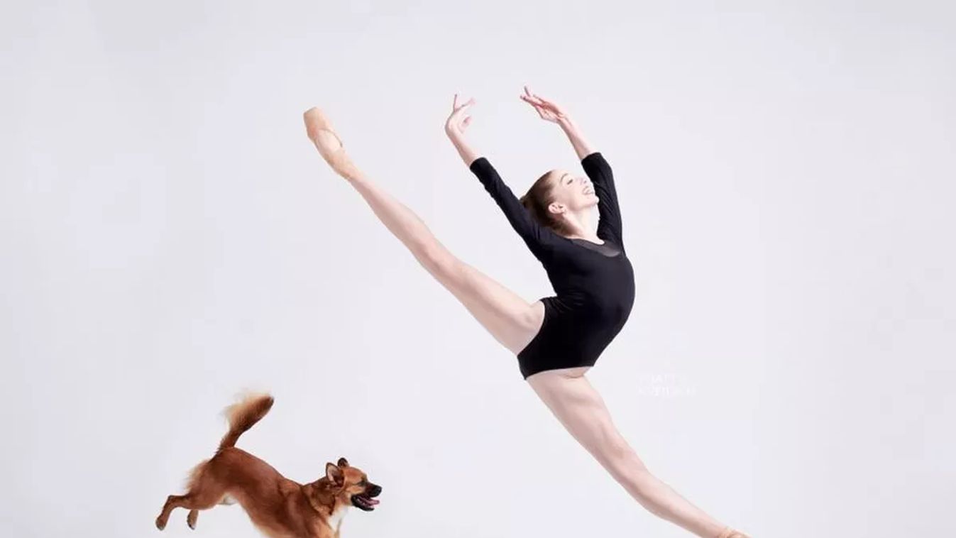 Forrás: Facebook/Dancers & Dogs 