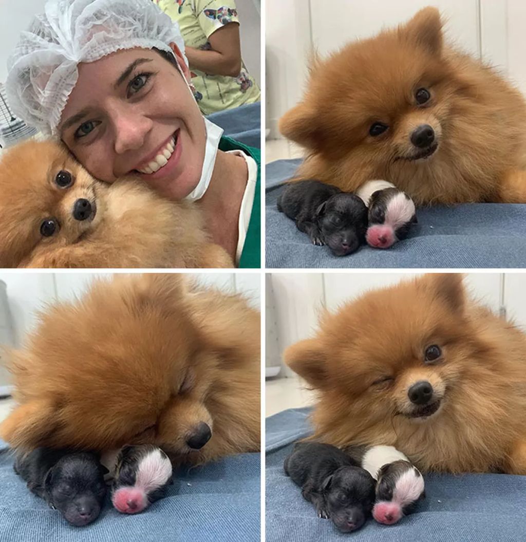 Forrás: Facebook/Marina Brito