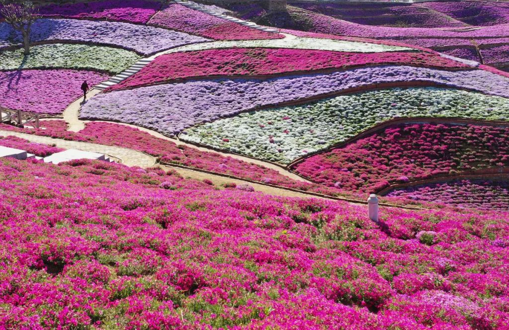 Forrás: NORTHFOTO/Xinhua News Agency / eyevine. All Rights Reserved./Yang Shiyao Xinhua / Eyevine