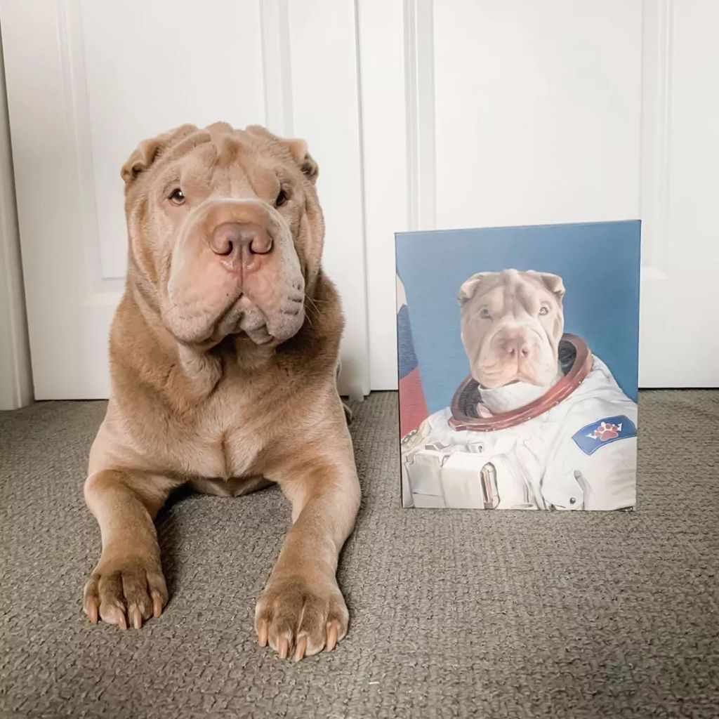 Forrás: Instagram/Crown & Paw