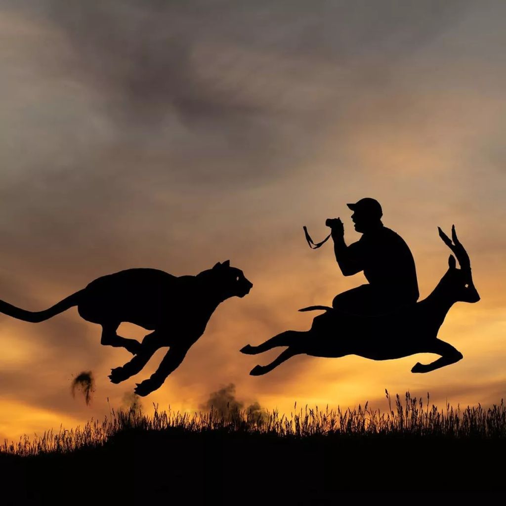 Forrás: Instagram/Sunset Selfies/Silhouettes