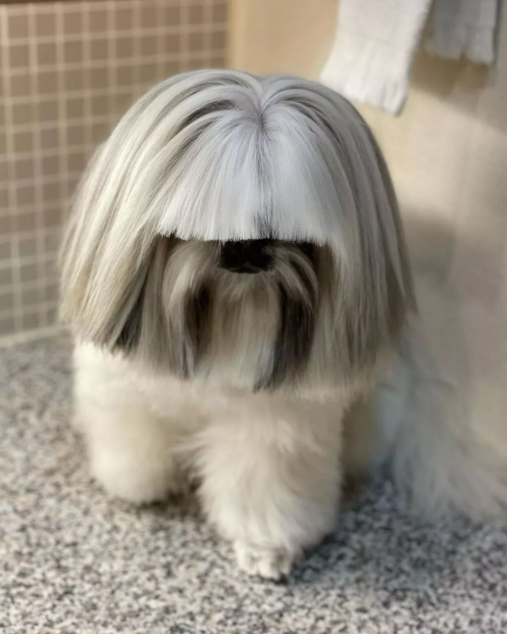 Forrás: Instagram/bonten._.maru