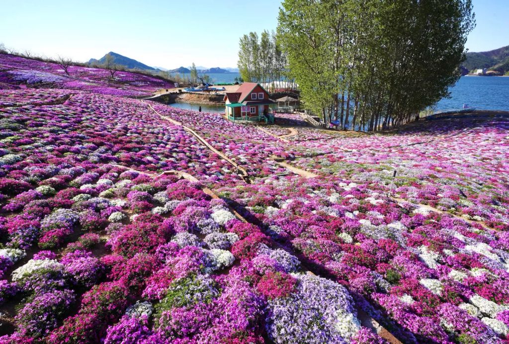 Forrás: NORTHFOTO/Xinhua News Agency / eyevine. All Rights Reserved./Yang Shiyao Xinhua / Eyevine