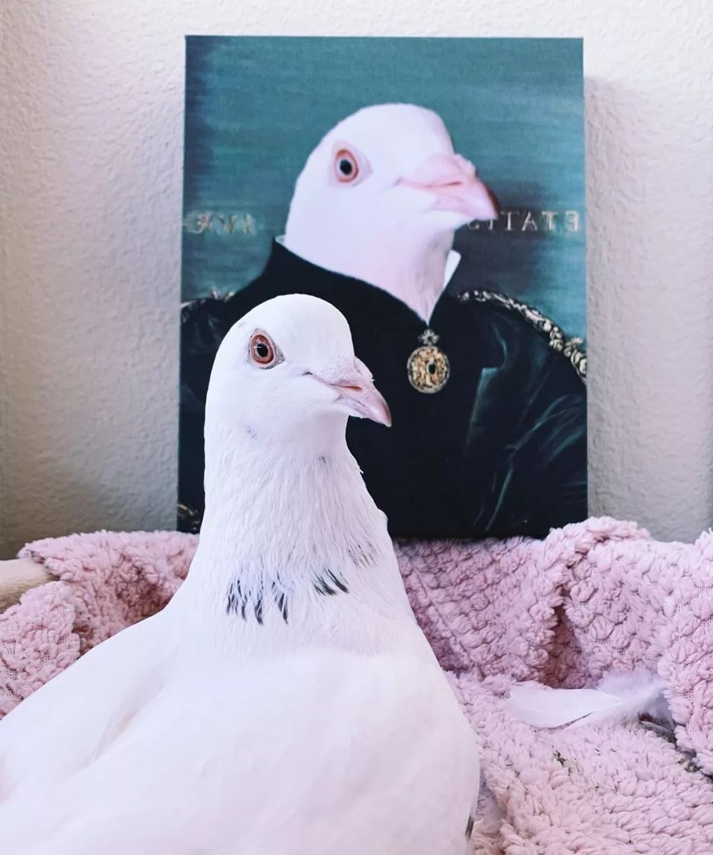 Forrás: Instagram/Crown & Paw