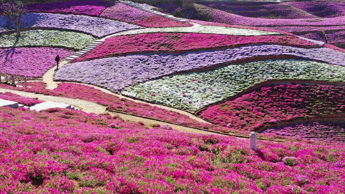 Forrás: NORTHFOTO/Xinhua News Agency / eyevine. All Rights Reserved./Yang Shiyao Xinhua / Eyevine