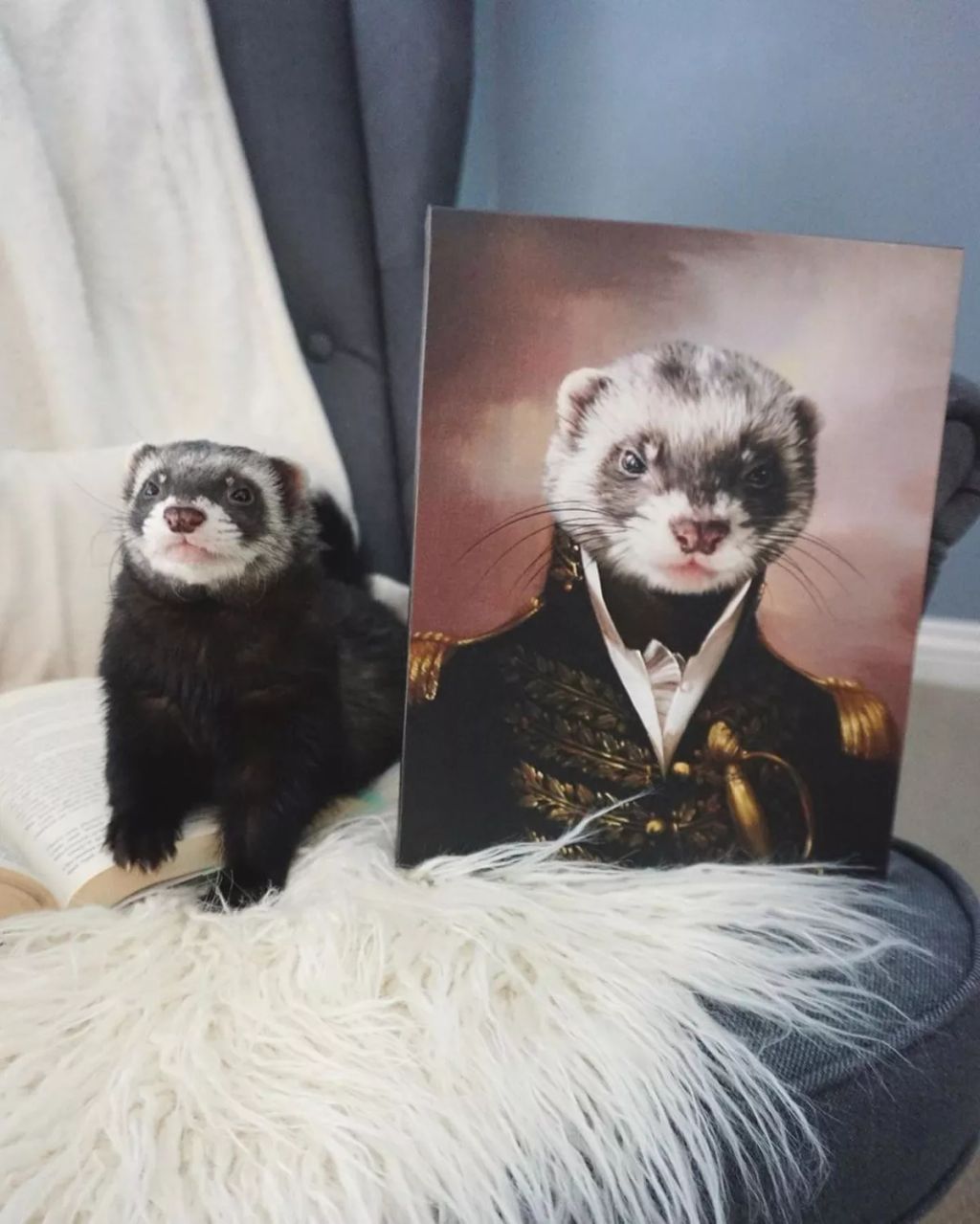 Forrás: Instagram/Crown & Paw