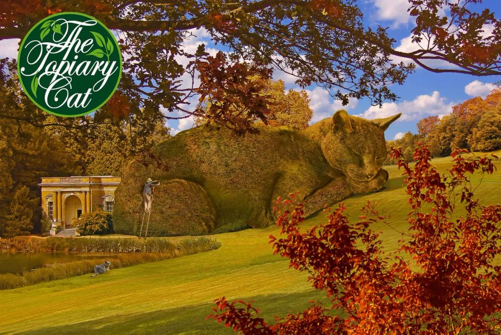 Forrás: The Topiary Cat, a creation by Richard Saunders
