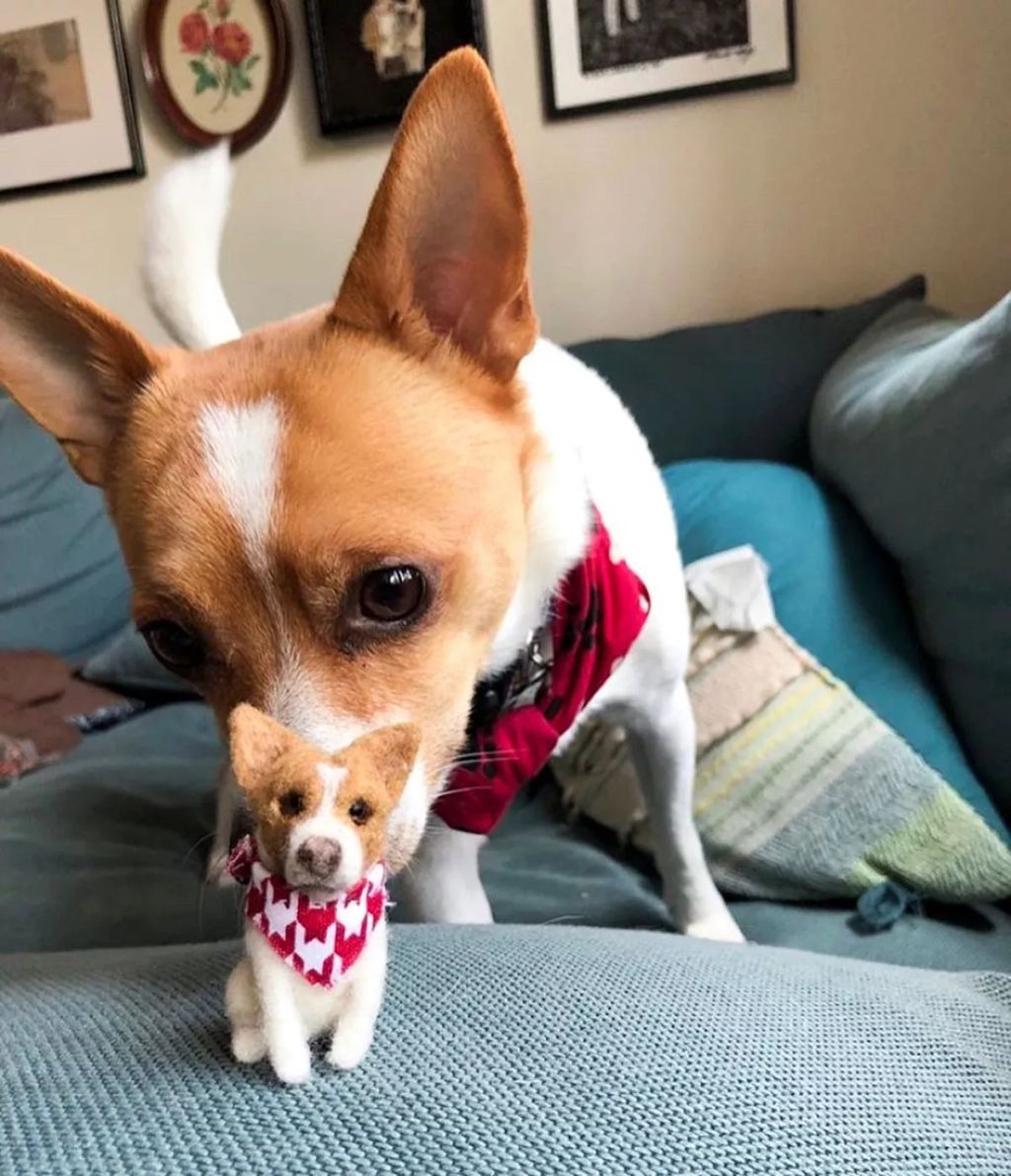 Forrás: Instagram/littlefeltedfriends