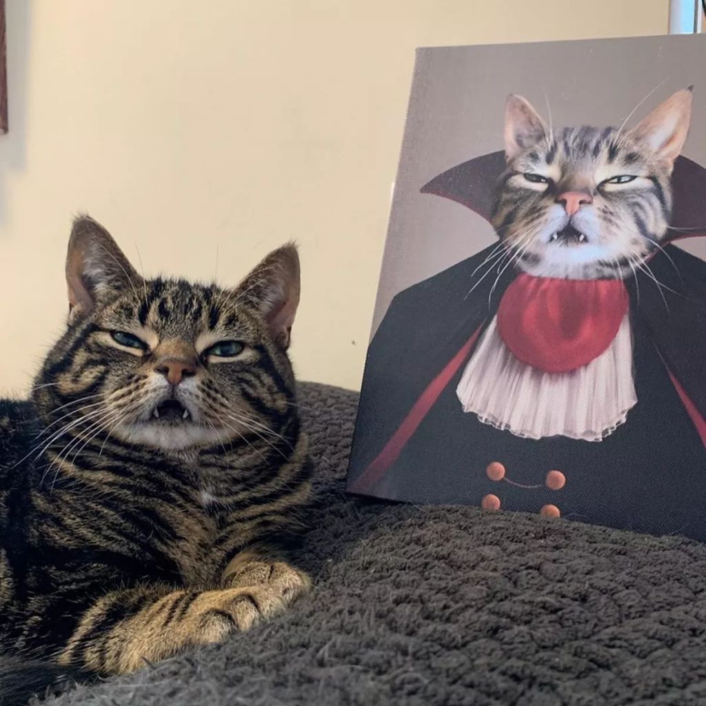 Forrás: Instagram/Crown & Paw