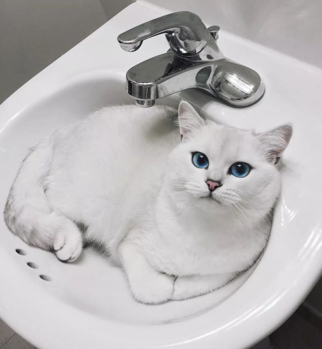 Forrás: Instagram/cobythecat