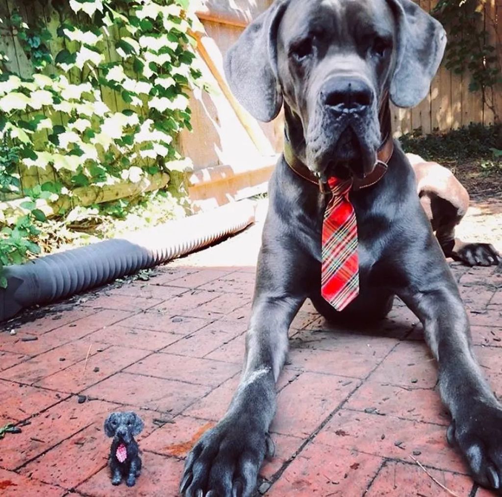 Forrás: Instagram/littlefeltedfriends